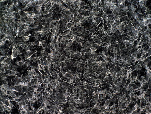 Artistic Innovation: Gravitational Waves Transformed through Cymatics Lens