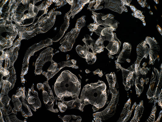 Visual imagery: Gravitational Waves in Cymatics Photography Showcase