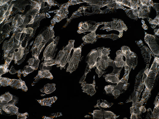 Artistic Photography: Gravitational Waves Visualized in Cymatics Masterpieces