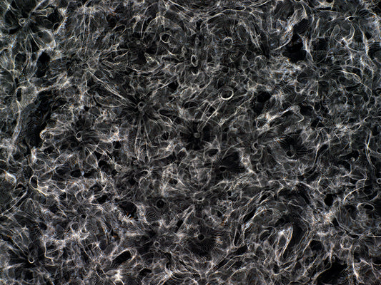 Cinematic Exploration: Gravitational Waves Unveiled in Cymatics Artistry