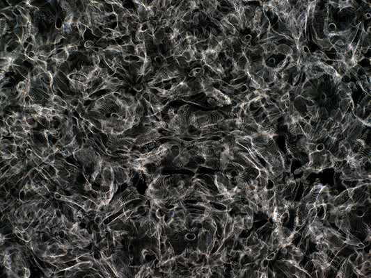 Artistic Fusion: Gravitational Waves Transformed in Cymatics Photography