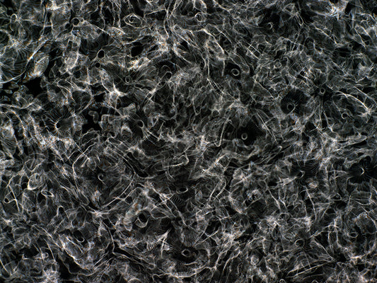 Cinematic Marvels: Gravitational Waves in Cymatics Photography Unveiled