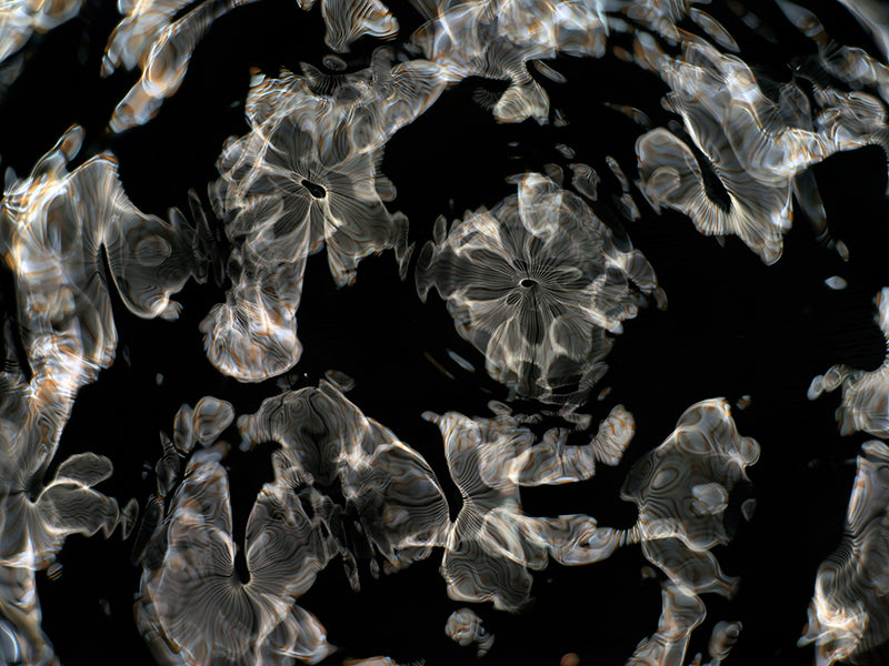Artistic Quest: Gravitational Waves Revealed in Cymatics Photography