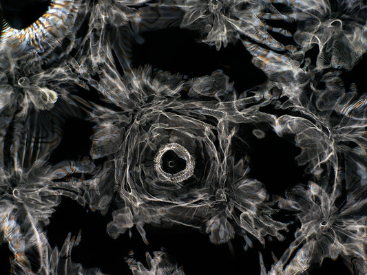 Visual resources for science-themed campaigns