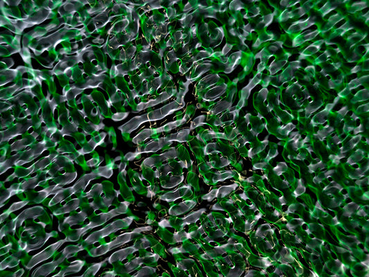 Artistic renderings of wave interference patterns