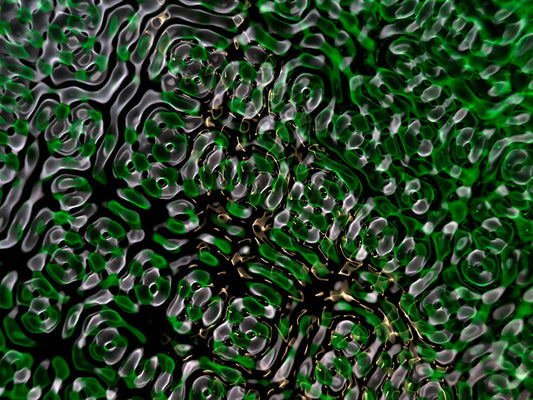 Unique perspectives on gravitational wave research