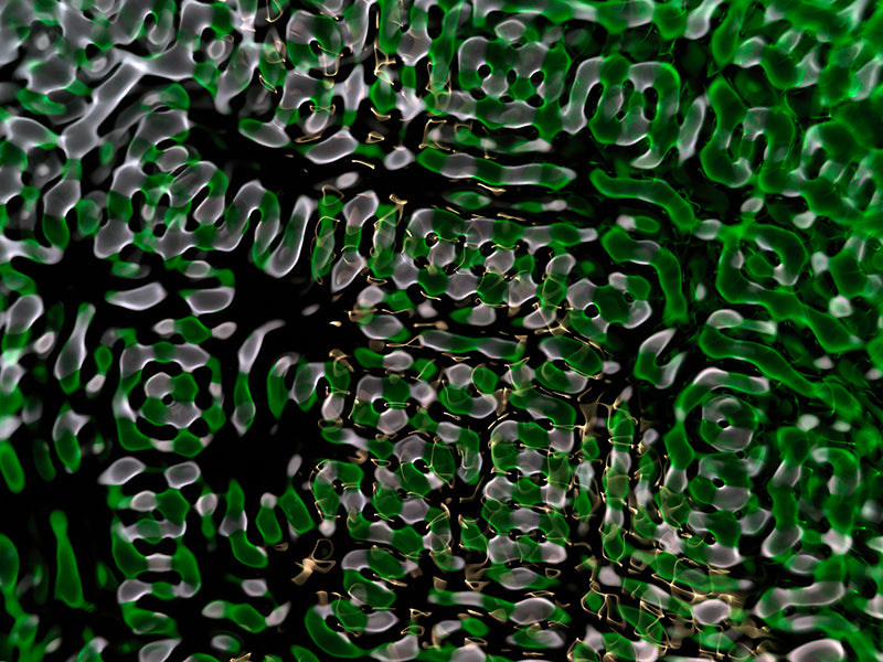 Imaginative photography for science publications