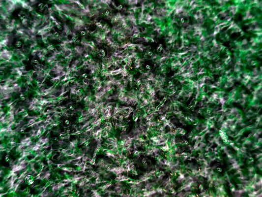 Artistic interpretations of wave theory