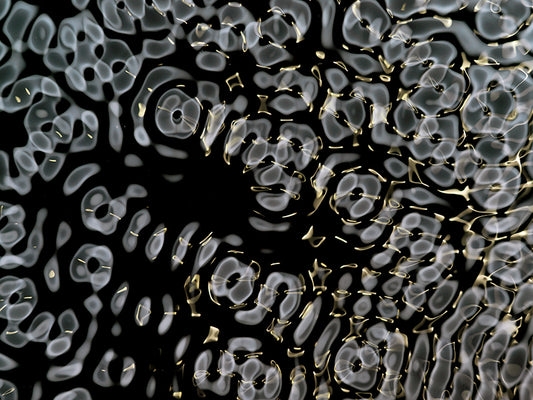 Captivating photography of wave patterns