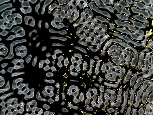 Dynamic visuals showcasing gravitational wave phenomena