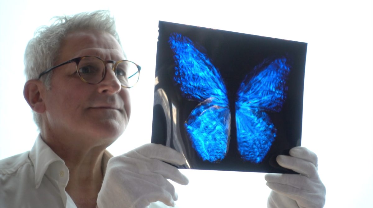 Artist documentation showing Alexander James Hamilton with analogue photographic transparency film