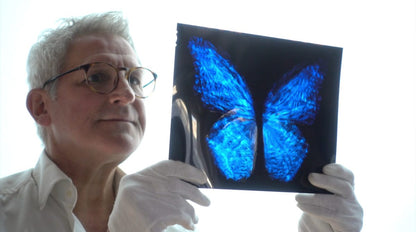 Transparency of a dream No.0813-015