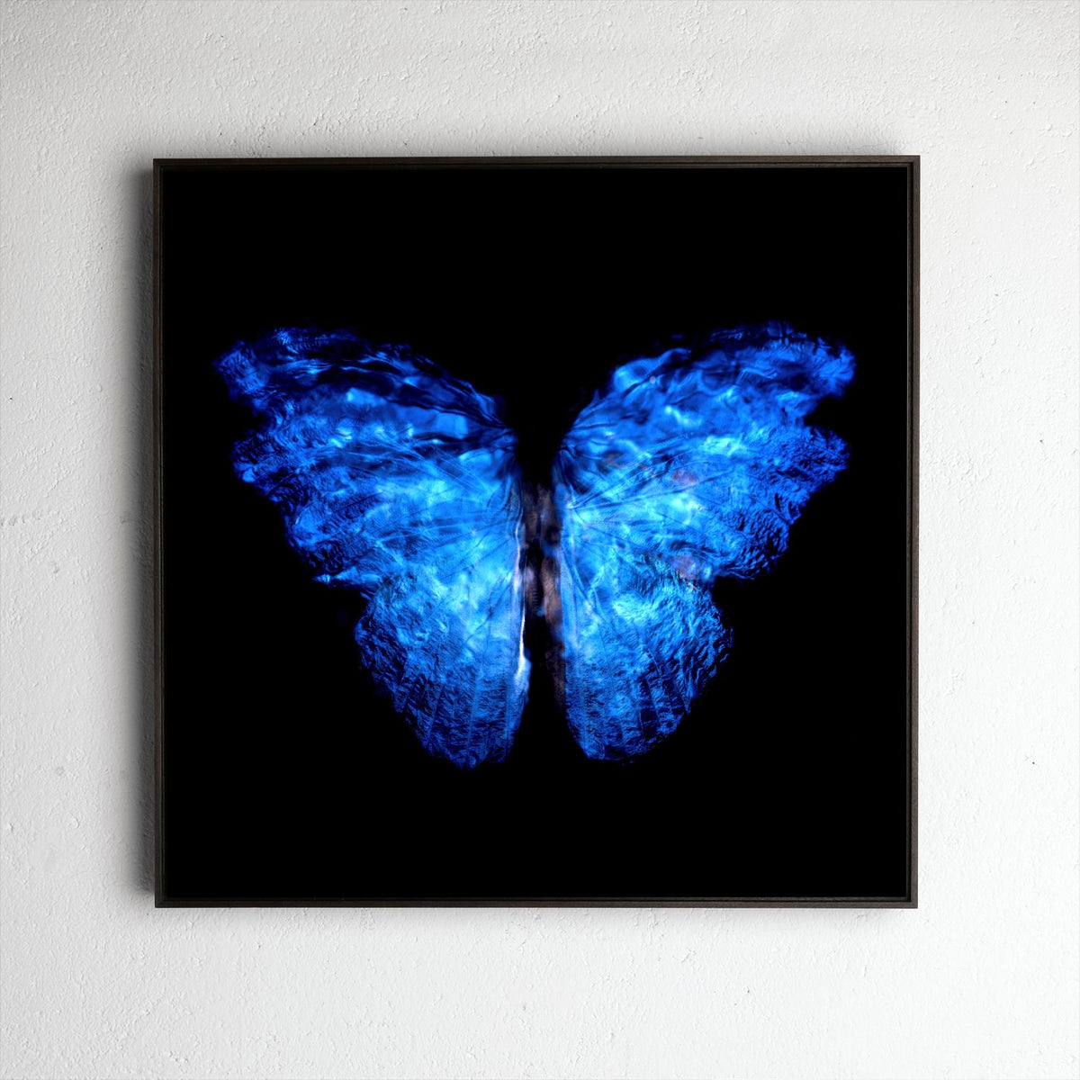Transparency of a dream No. 0913-003, underwater analogue butterfly photograph by Alexander James Hamilton