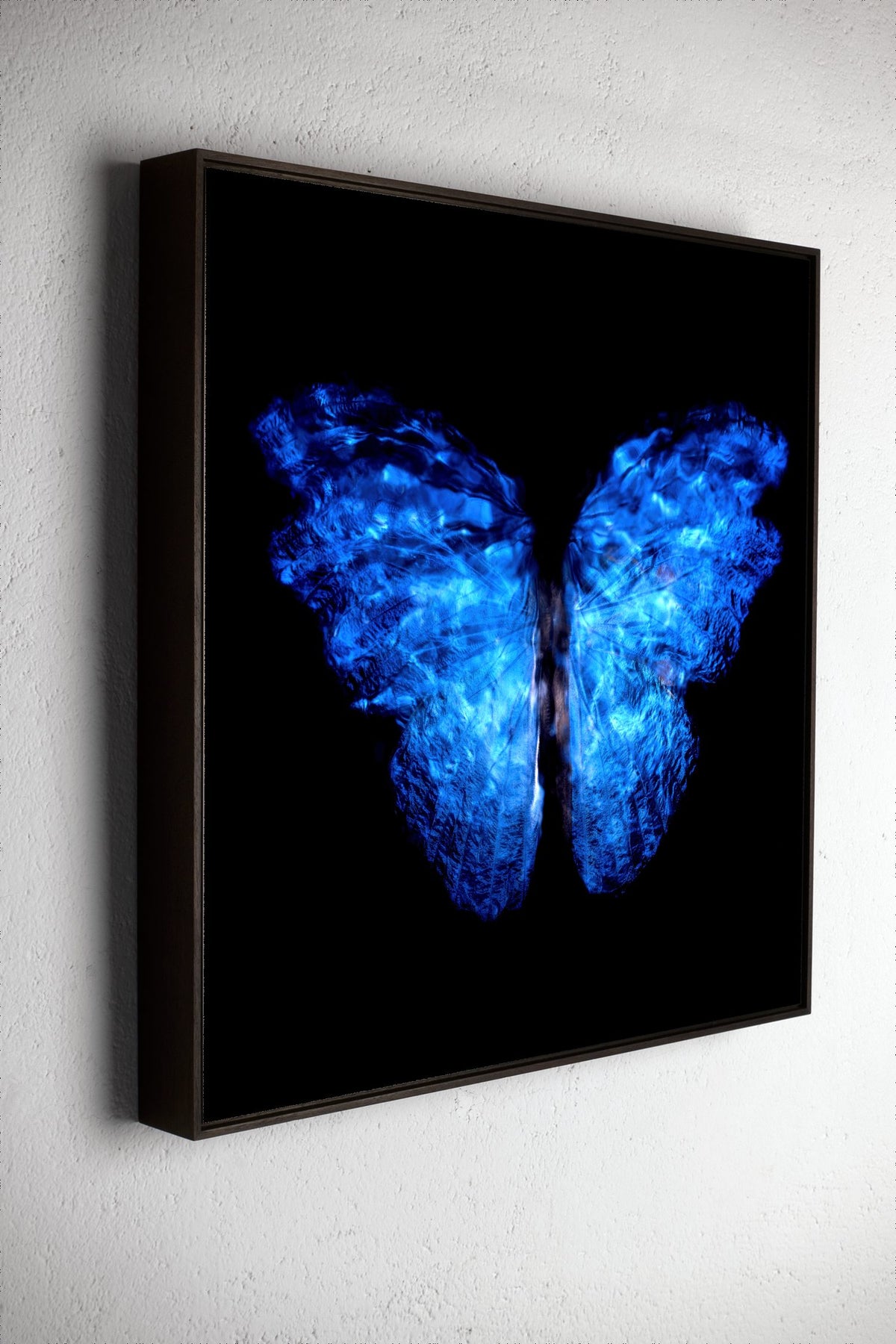 Left side view of Transparency of a dream No. 0913-003, underwater analogue butterfly photograph by Alexander James Hamilton
