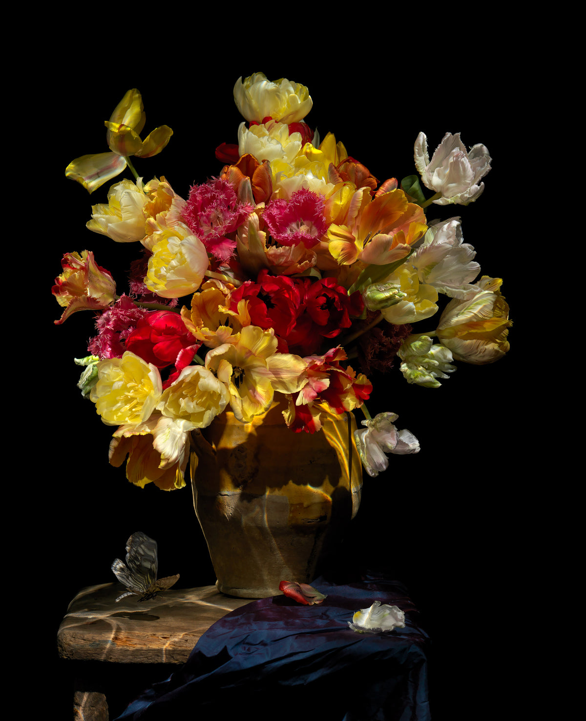 Additional view of Grace, underwater analogue still life photograph by Alexander James Hamilton