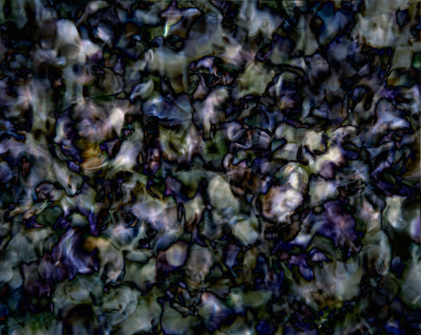 All Icons Are False No. 008-1