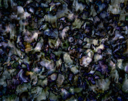 All Icons Are False No. 008-1