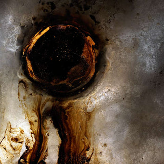 Additional view of Archytas, analogue photograph exploring oil, water and light by Alexander James Hamilton