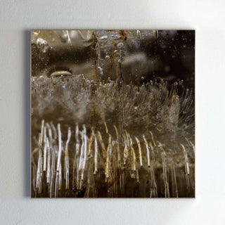 Framing and presentation detail for Claymore, analogue photographic work by Alexander James Hamilton