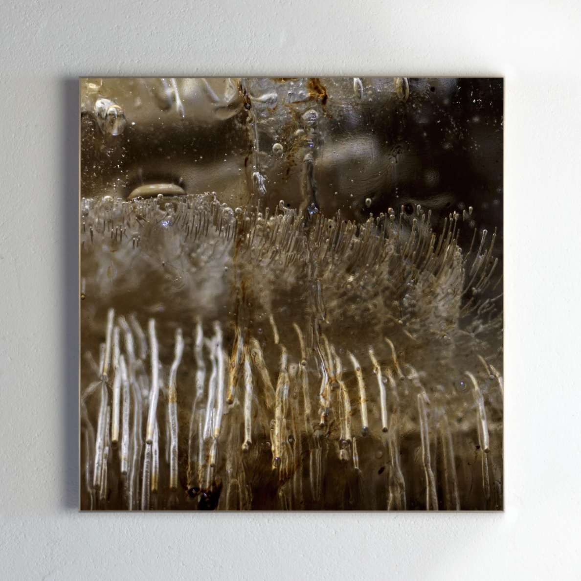 Framing and presentation detail for Claymore, analogue photographic work by Alexander James Hamilton