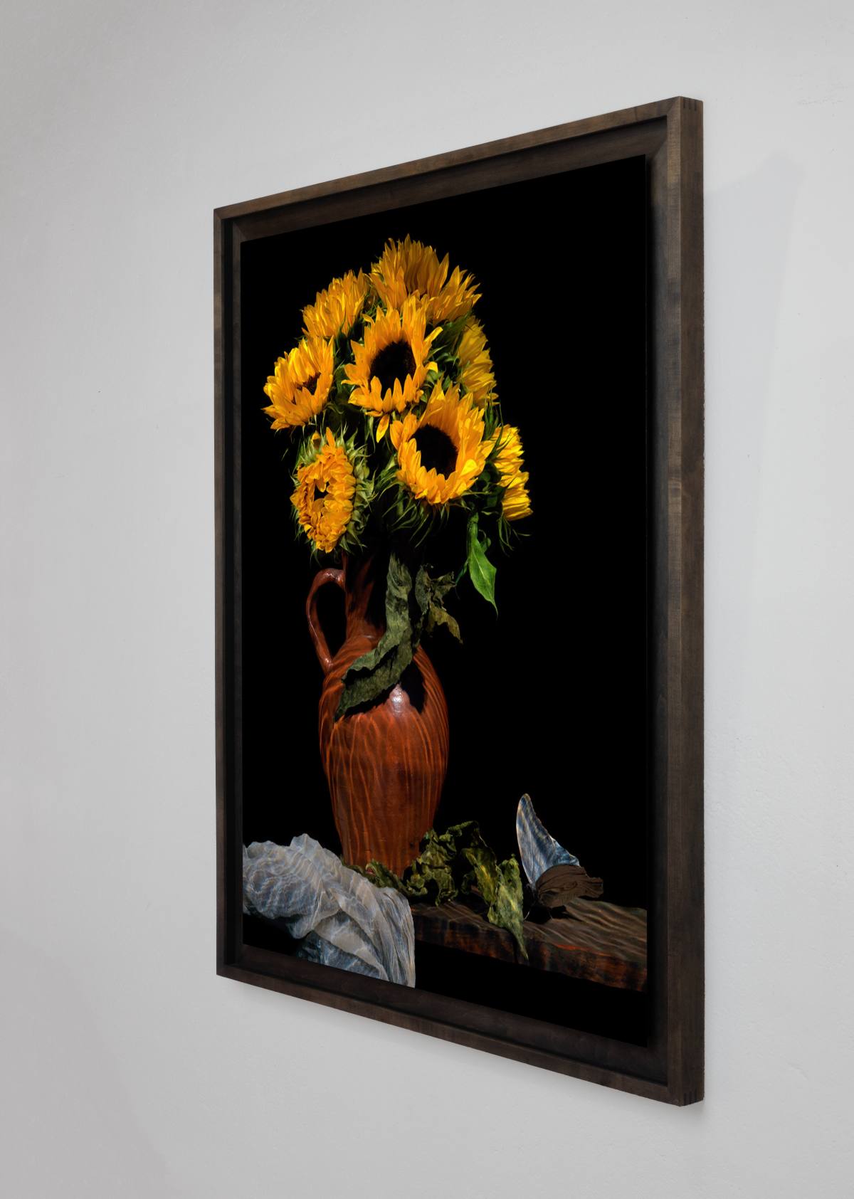 Framing and presentation detail for Clytie scent of Apollo, analogue photographic work by Alexander James Hamilton
