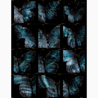 120 E6 roll film contact sheet