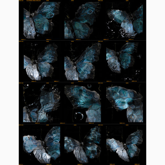 artist Alexander James Hamilton releases contact sheet prints direct from the darkroom