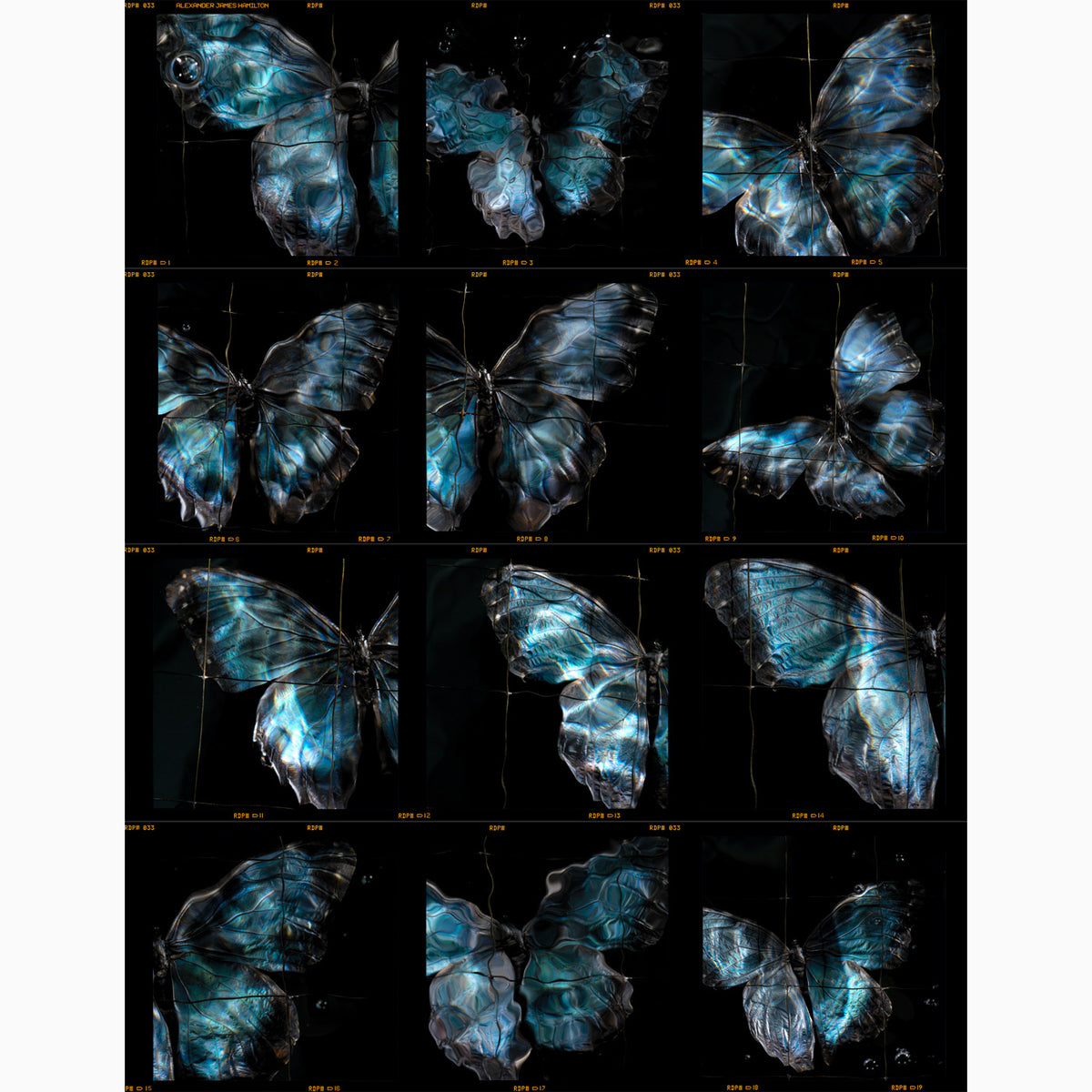 contact sheet darkroom prints an unedited collection by artist Alexander James Hamilton