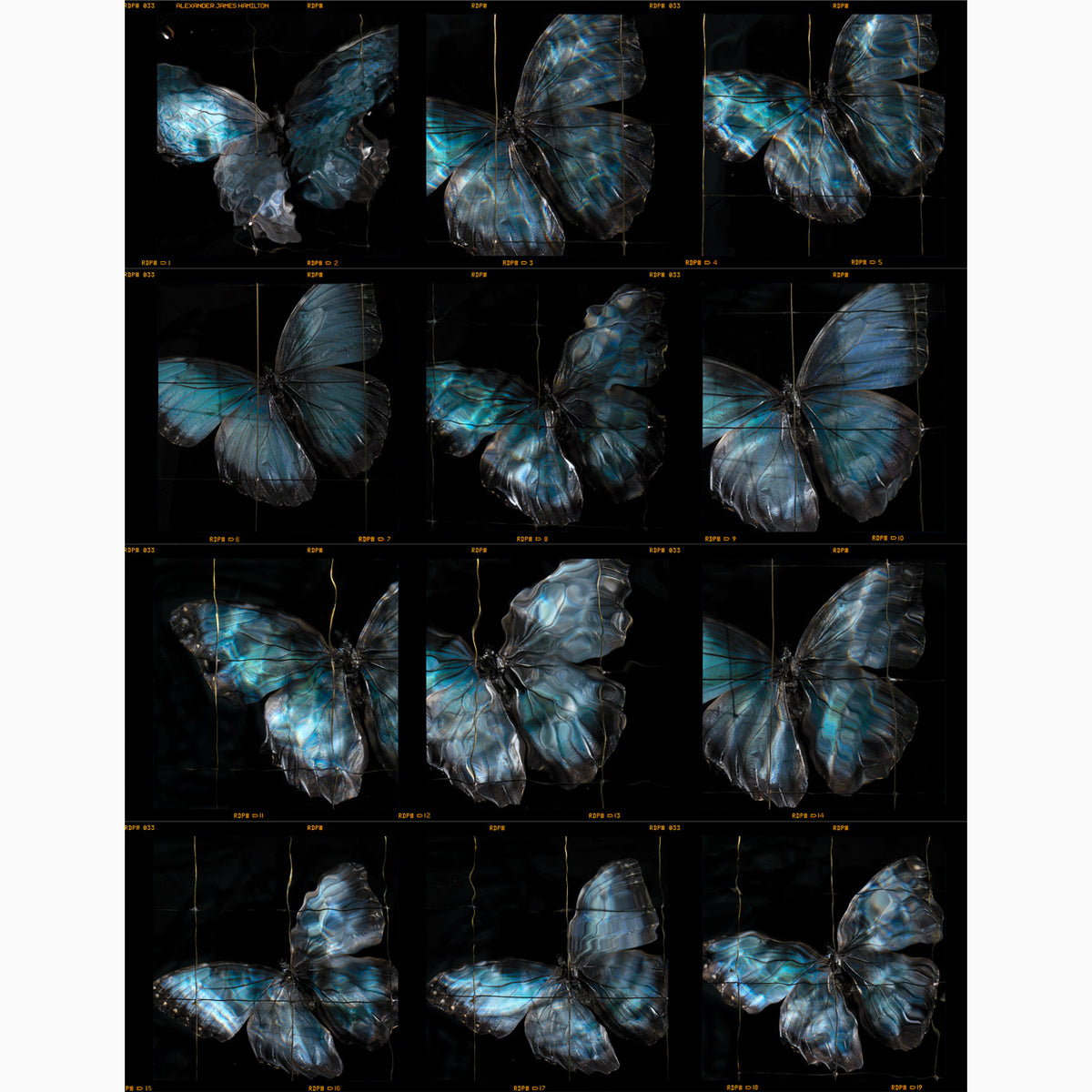 a rare release of a fine art photographers contact sheets unique and collectable prints