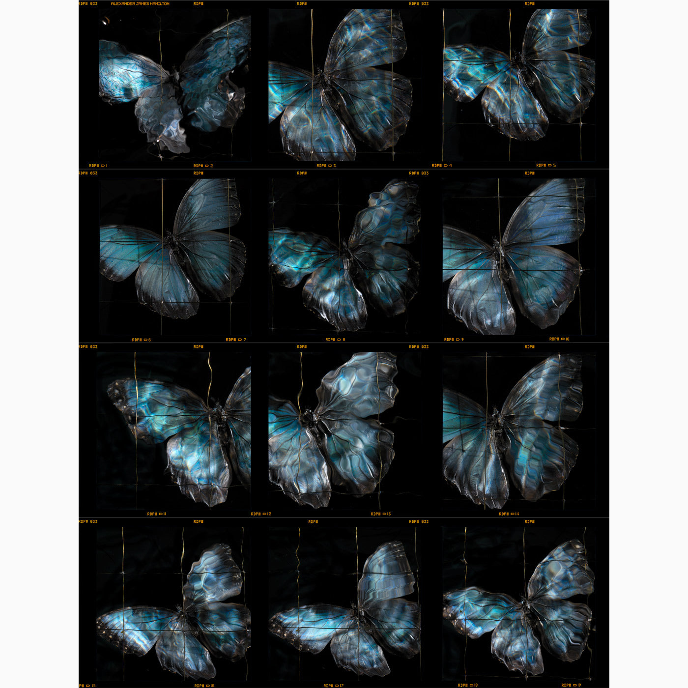 a rare release of a fine art photographers contact sheets unique and collectable prints