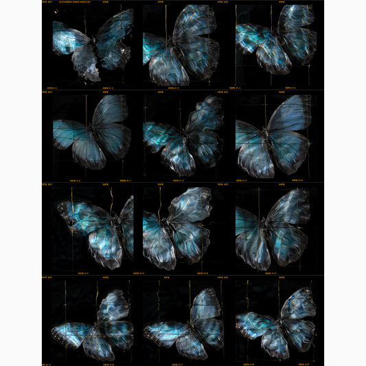 a rare release of a fine art photographers contact sheets unique and collectable prints