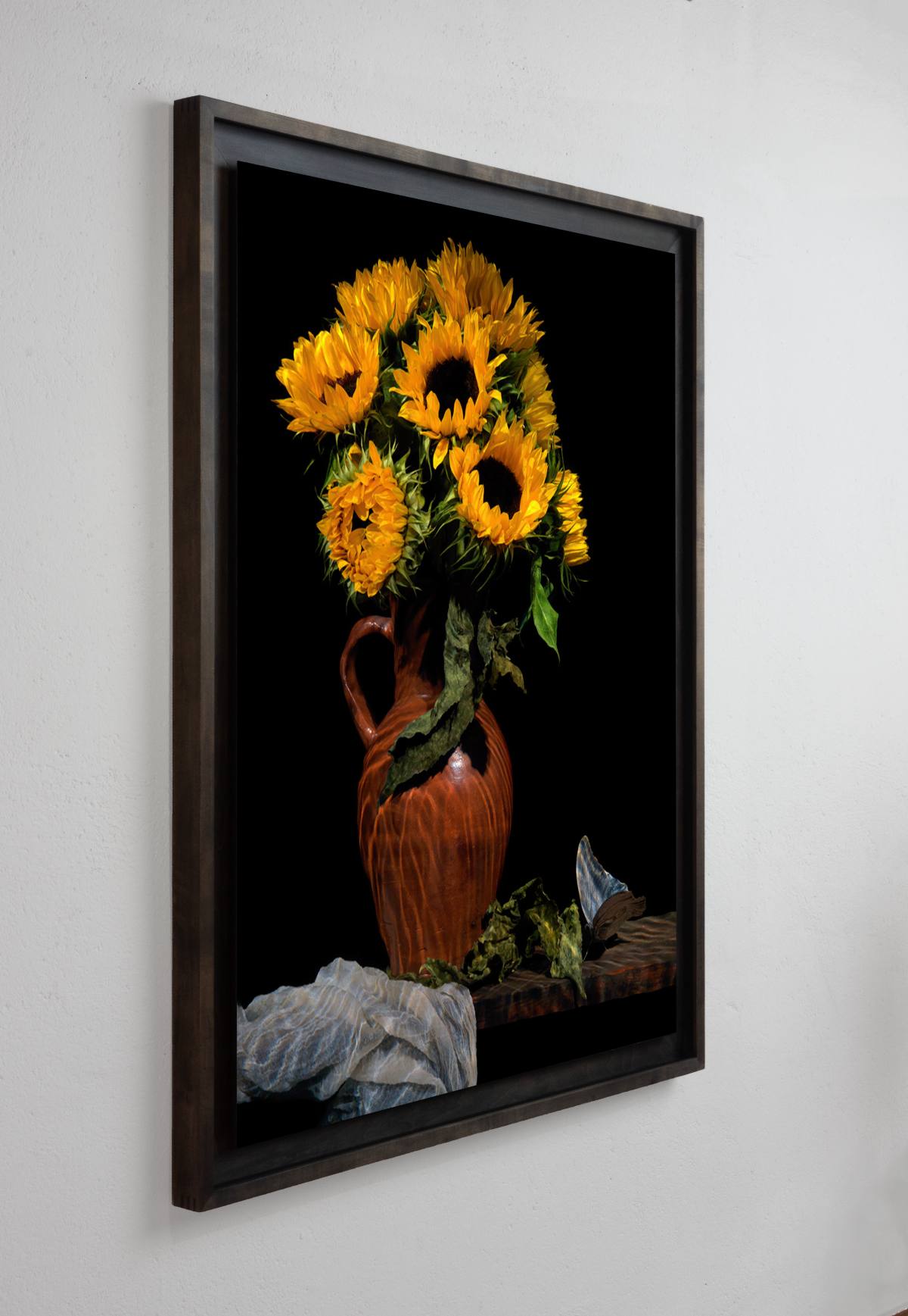 Framing and presentation detail for Clytie scent of Apollo, analogue photographic work by Alexander James Hamilton