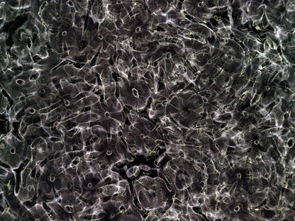 Cymatic Plate 0166, Artists Proof I