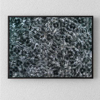 Cymatic Plate 0115, Artists Proof I