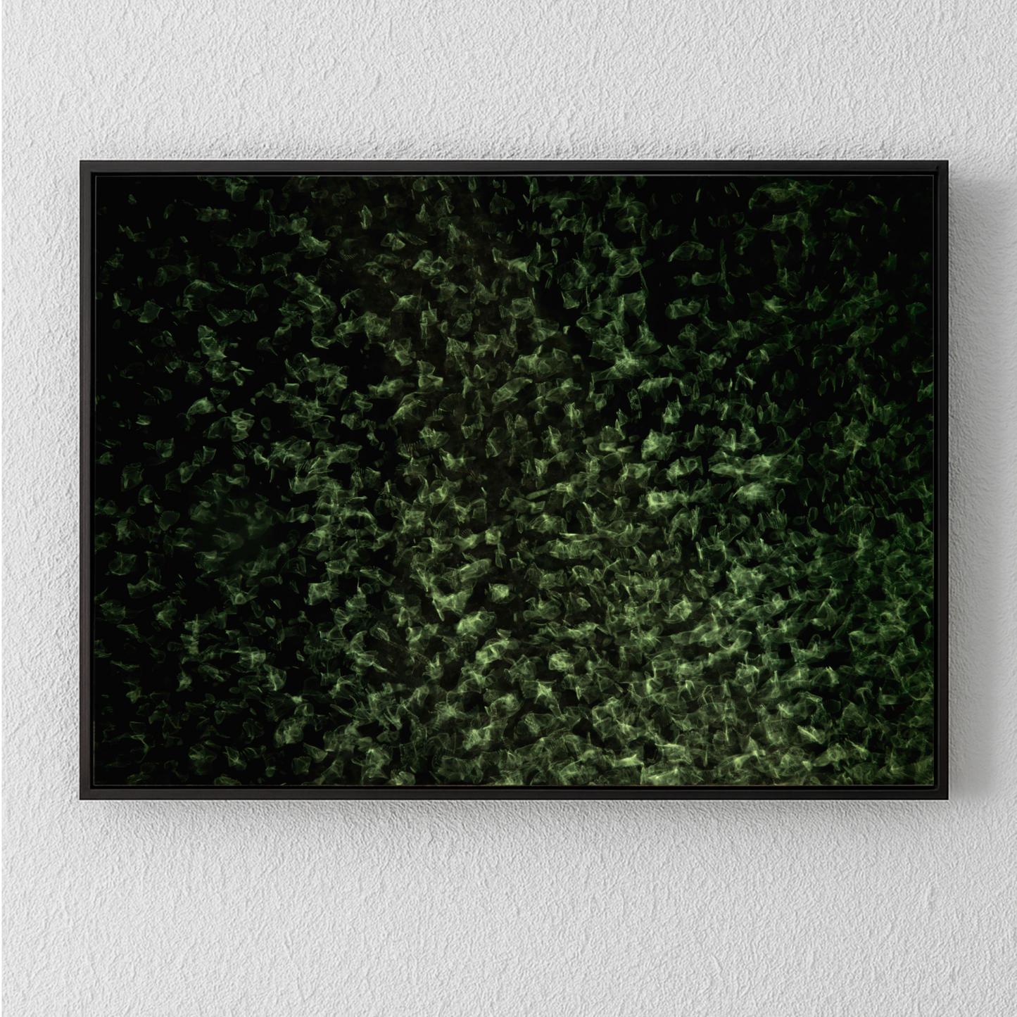 Cymatic Plate 0021, Artists Proof I