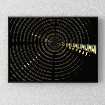 Cymatic Plate 0182, Artists Proof I