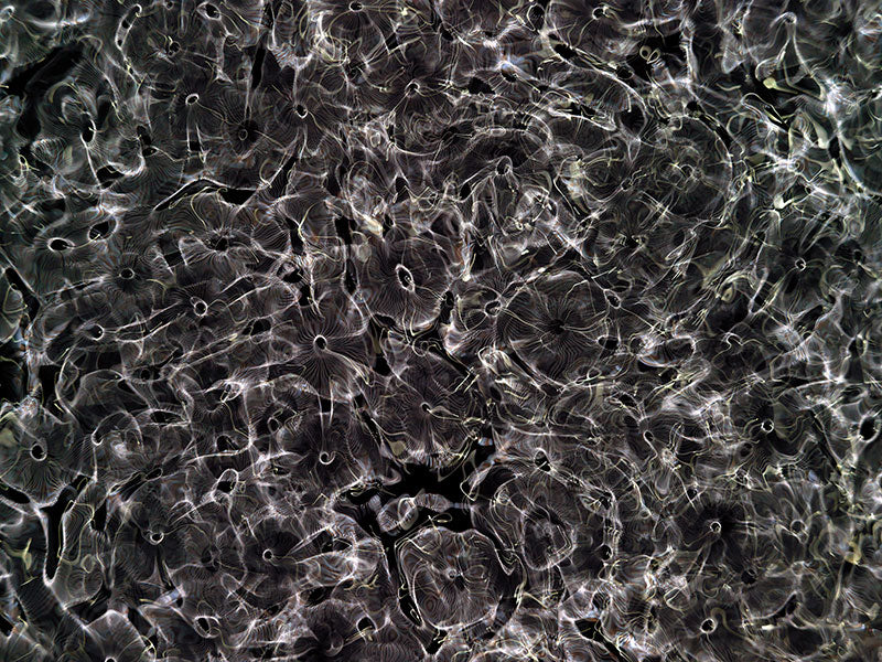 ´From Water To The Universe´