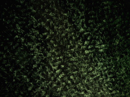 Cymatic Plate 0021, Artists Proof I