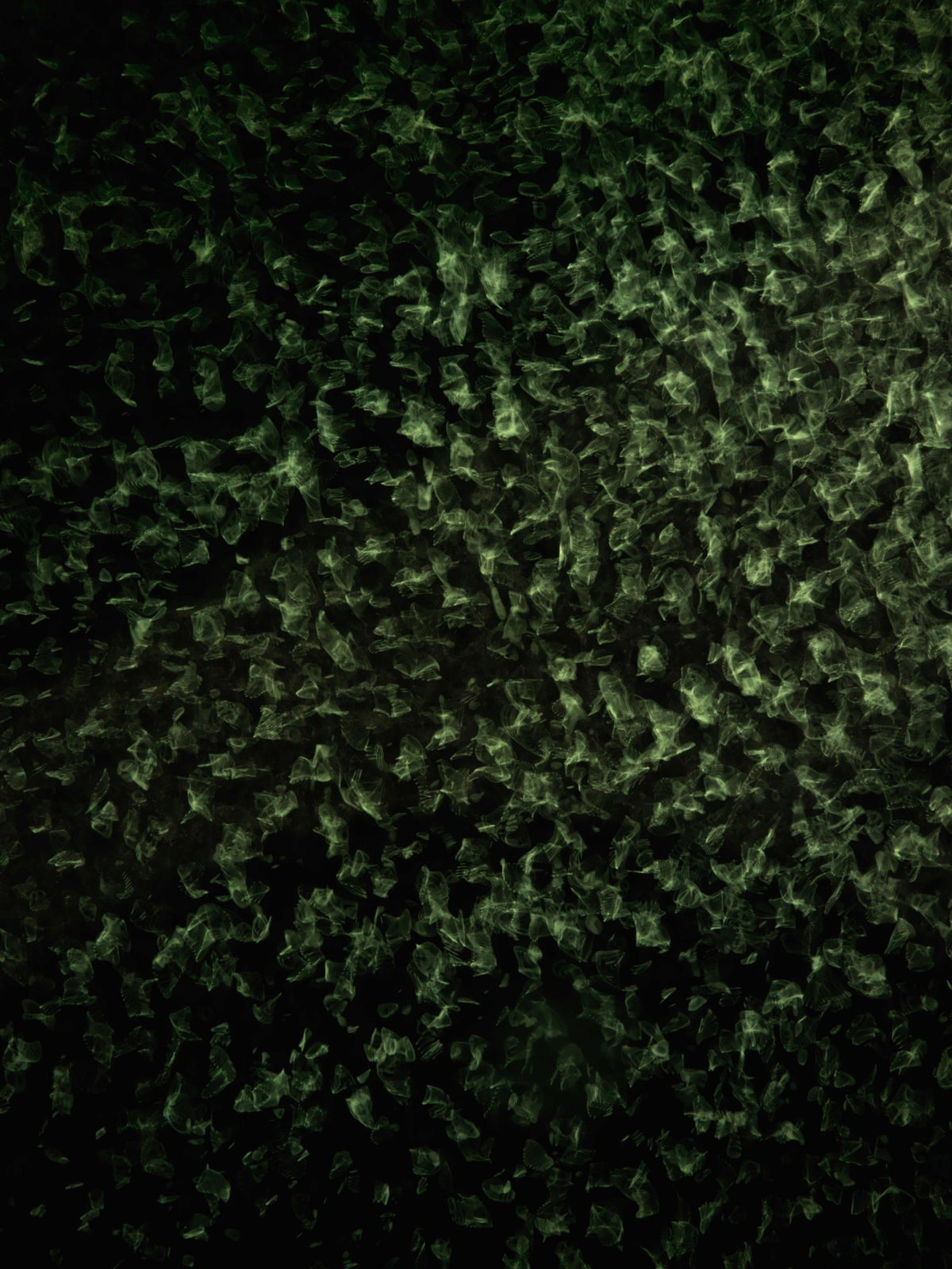 Visualising the Invisible