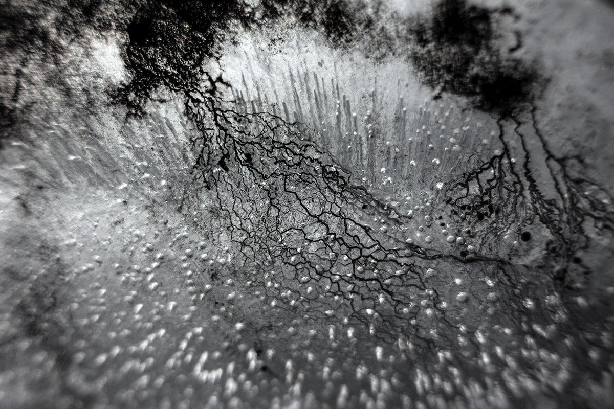 Additional view of Empirical Research & Evidence No. 0882, analogue photograph exploring oil, water and light by Alexander James Hamilton