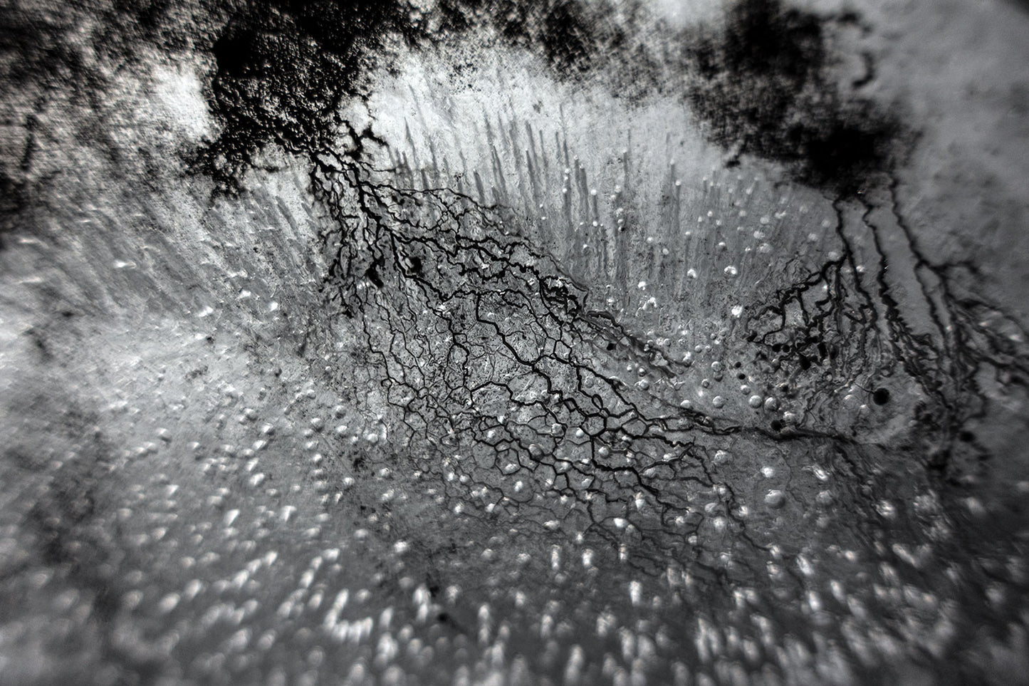 Empirical Research & Evidence - Plate 0882