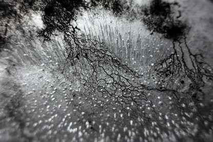 Empirical Research & Evidence - Plate 0882