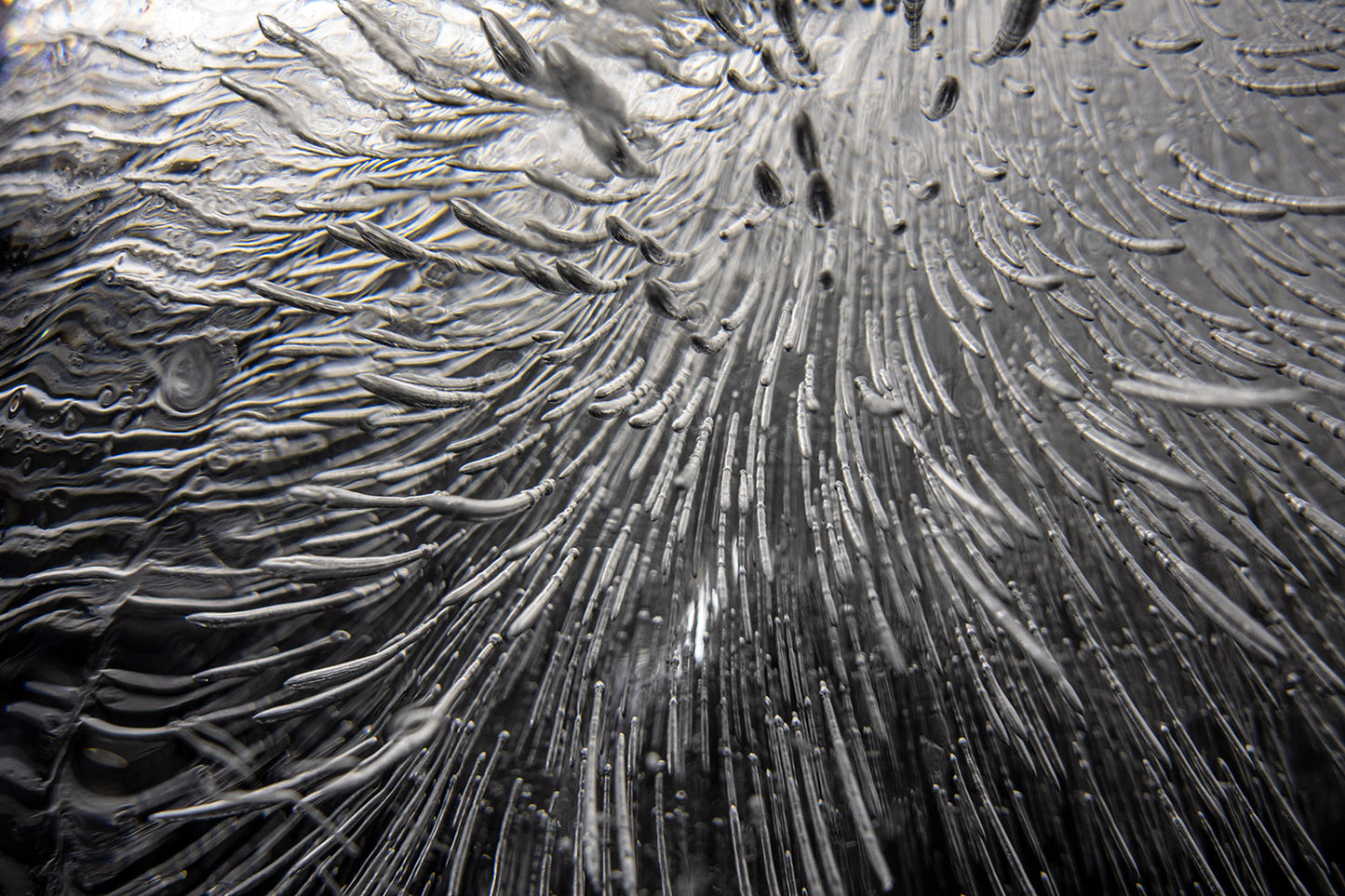 Empirical Research & Evidence - Plate 01171