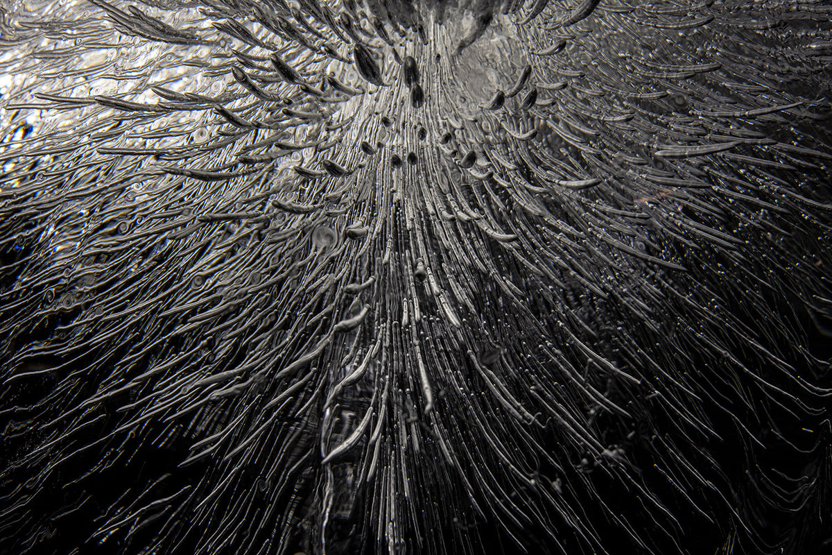 Additional view of Empirical Research & Evidence No. 1176, analogue photograph exploring oil, water and light by Alexander James Hamilton