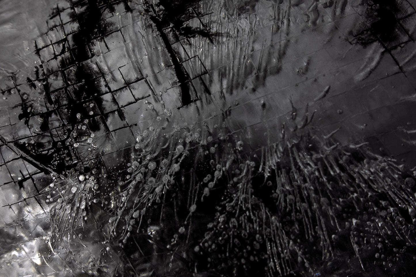 Empirical Research & Evidence No. 1190