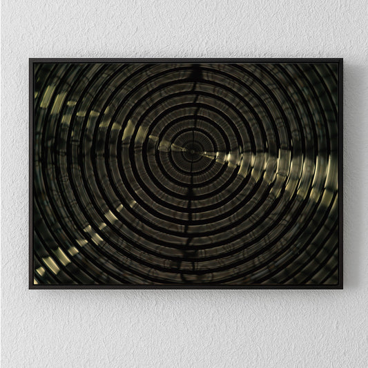 Cymatic Plate 0181, Artists Proof I