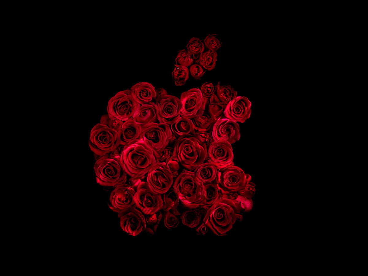 Additional view of Apple, analogue photograph from the Drowning in Brands series by Alexander James Hamilton