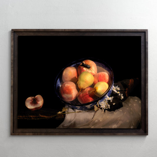 Emperors Truth, a Vanitas still life photograph by Alexander James Hamilton, constructed underwater with skull and floral elements