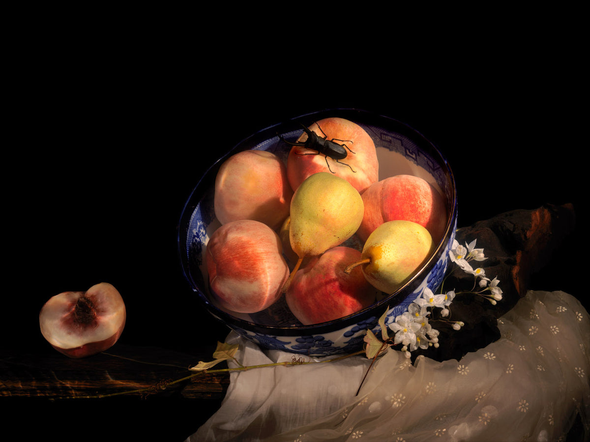 Installation view of Emperors Truth, a framed Vanitas photograph by Alexander James Hamilton
