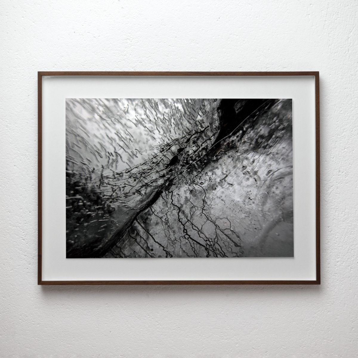 Empirical Research & Evidence No. 1027, analogue photograph exploring oil, water and light by Alexander James Hamilton